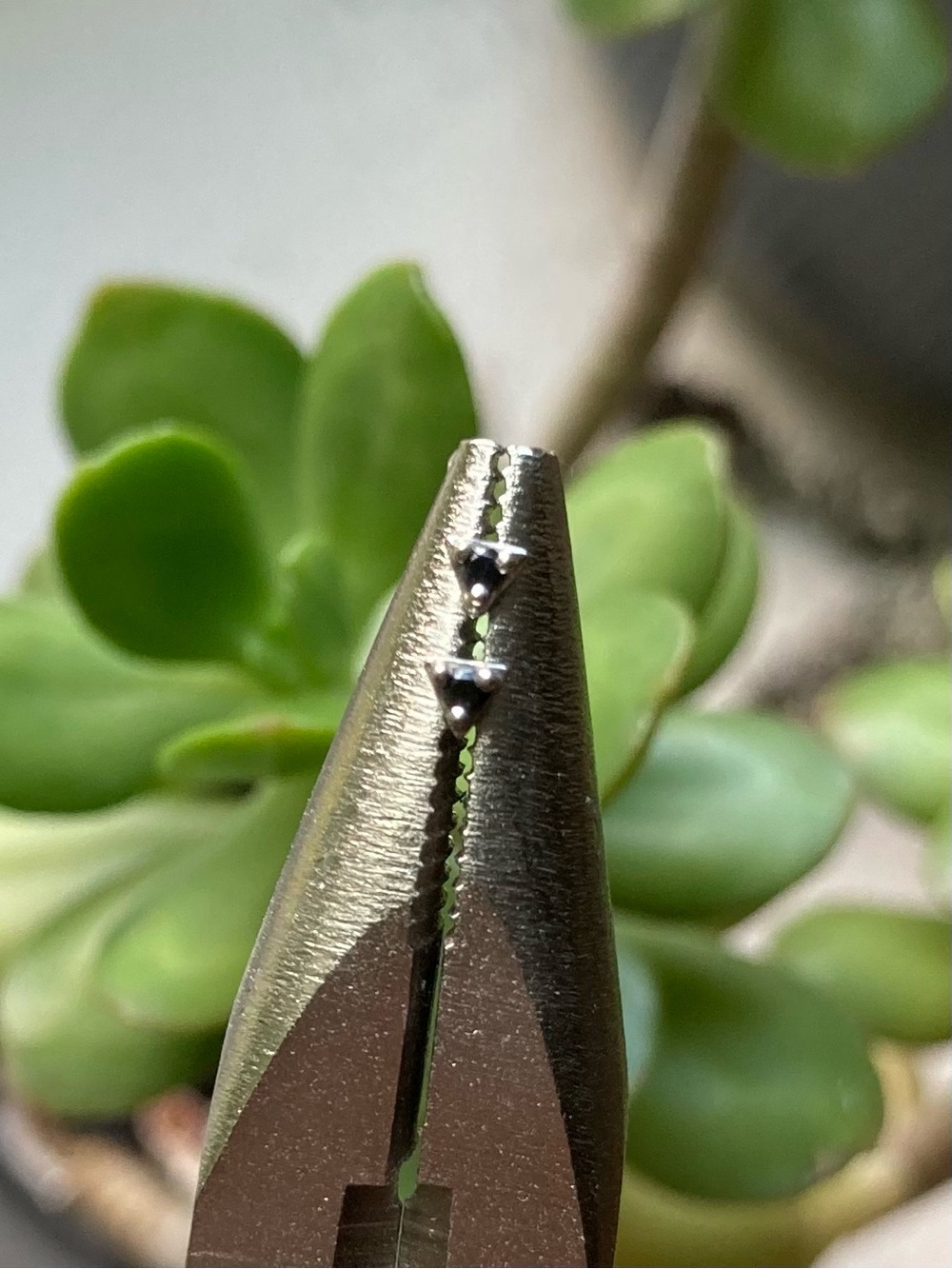 illuminati - black diamond in 14k white gold threadless end - pair